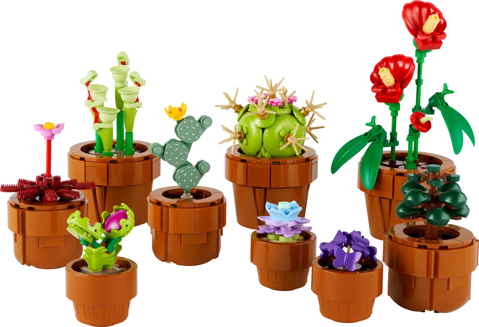 LEGO Botanical Collection 10329 Prix internationaux des petites plantes  confirmés