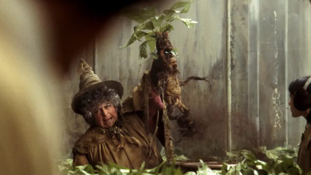harry potter mandrake featured 1024x576