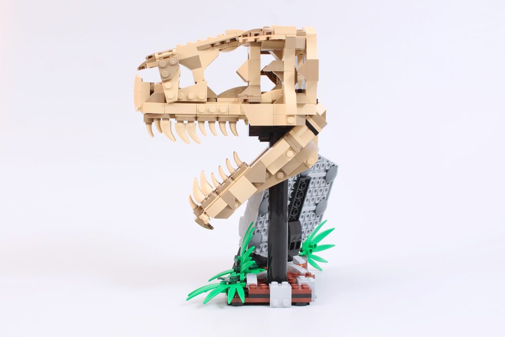 LEGO Jurassic World 76964 Fósseis de Dinossauro Crânio de T. rex - Análise 4 1024x683