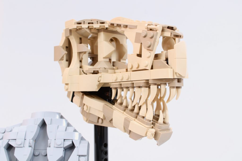LEGO Jurassic World 76964 Fósseis de Dinossauro Crânio de T. rex - Análise 5 1024x683