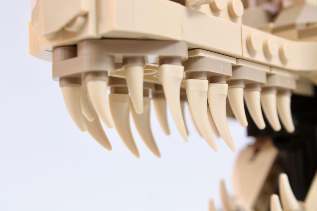 LEGO Jurassic World 76964 Fósseis de Dinossauro Crânio de T. rex - Análise 6 1024x683