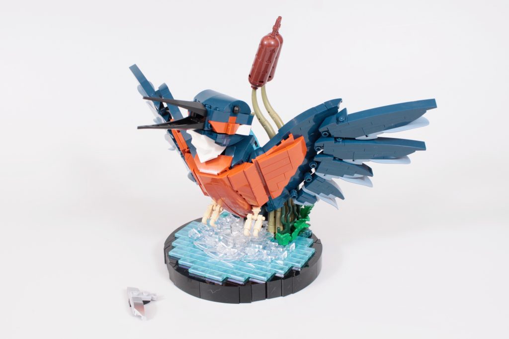 LEGO Icons 10331 Kingfisher Bird anmeldelse 16 1024x683