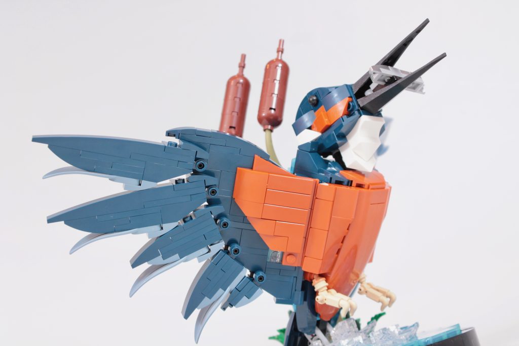 LEGO Icons 10331 Kingfisher Bird anmeldelse 20 1024x683