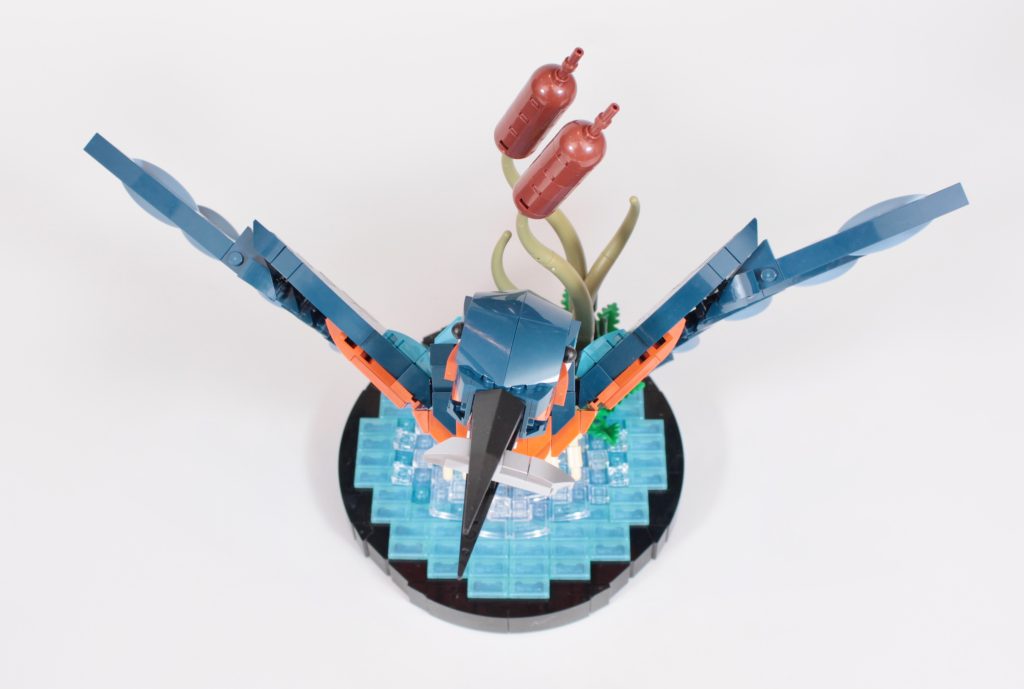 LEGO Icons 10331 Kingfisher Bird anmeldelse 21 1024x689