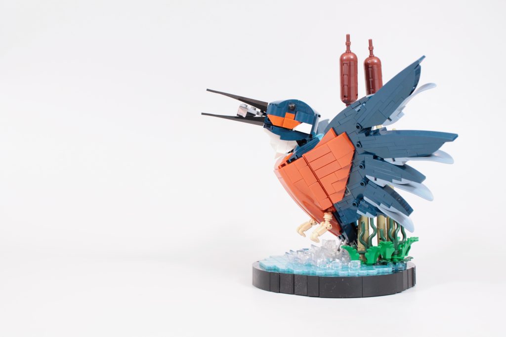 LEGO Icons 10331 Kingfisher Bird anmeldelse 22 1024x683