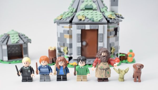 LEGO Harry Potter 76428 Hagrid's Hut: An Unexpected Visit review
