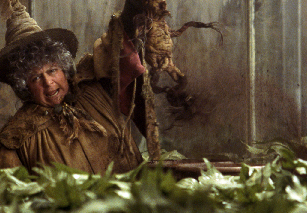 Harry Potter Mandrake 1024x710