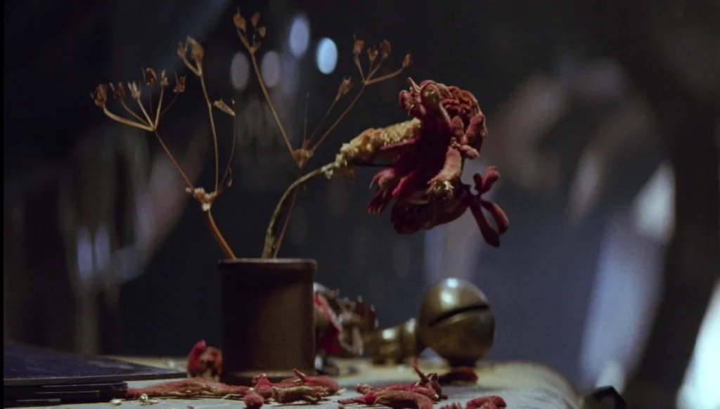 Nightbloomer 1024x582