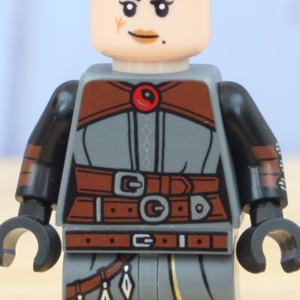lego 71047 dungeons and dragons collectible minifigures review tasha the witch queen torso