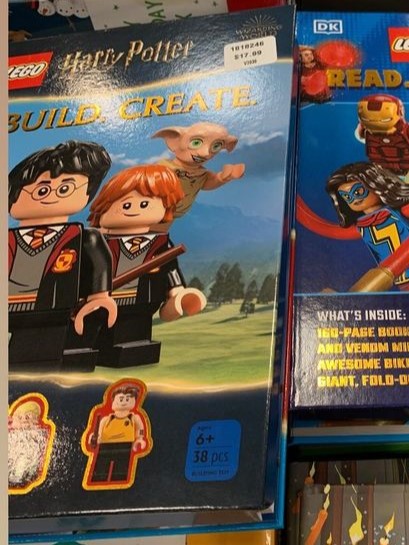 echoalive122  LEGO Harry Potter read build create