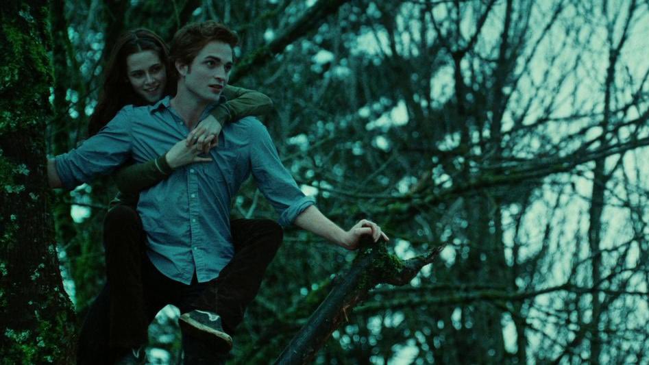 Twilight Spider Monkey