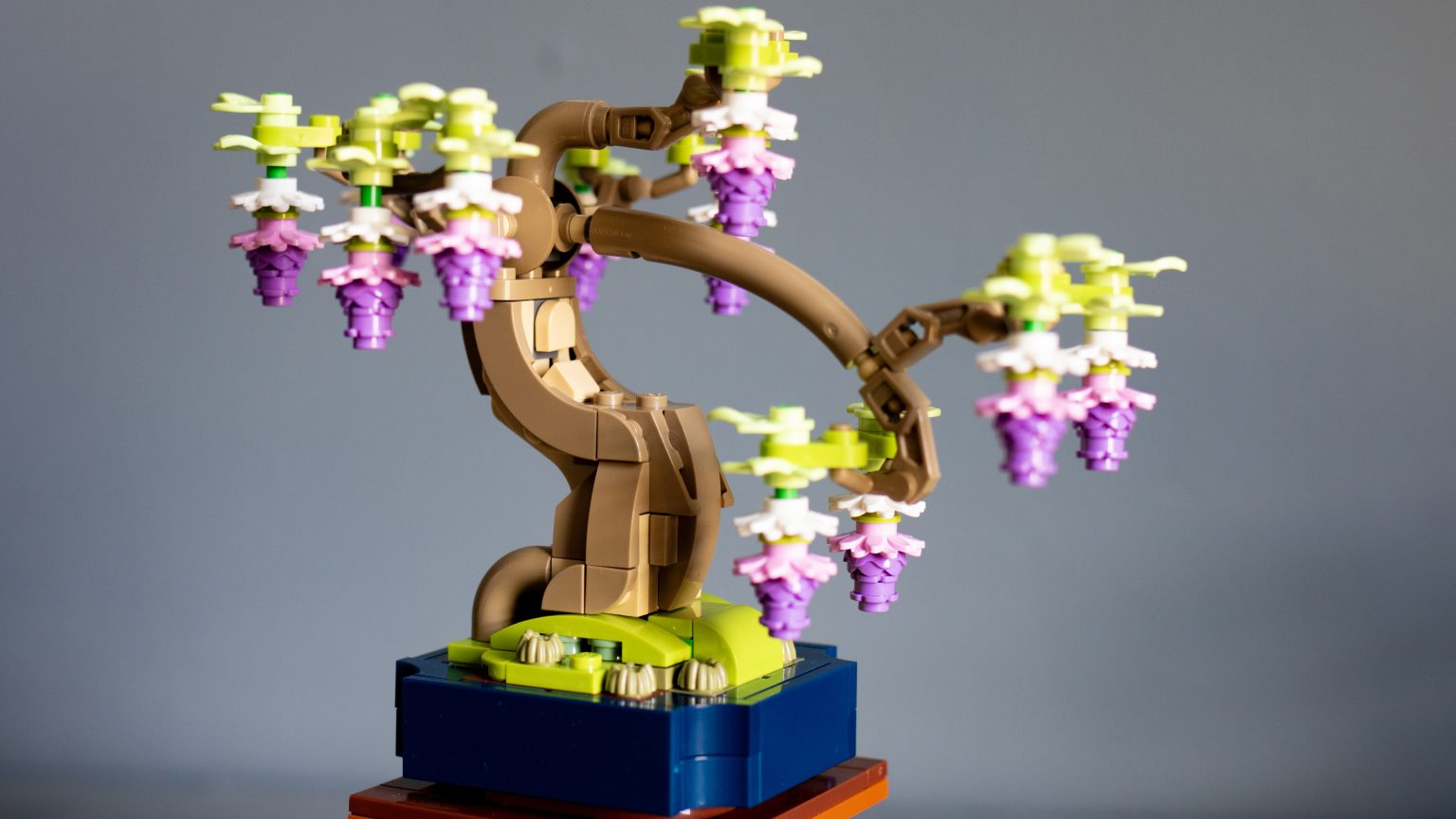 LEGO Botanicals 10373 Mini Bonsai Trees review