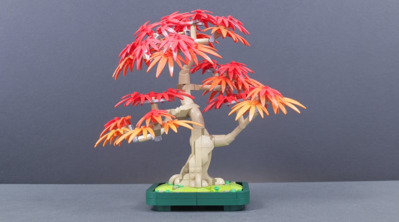 LEGO-Botanicals-10348-Japanese
