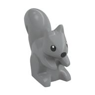 6390506 Eichhörnchen