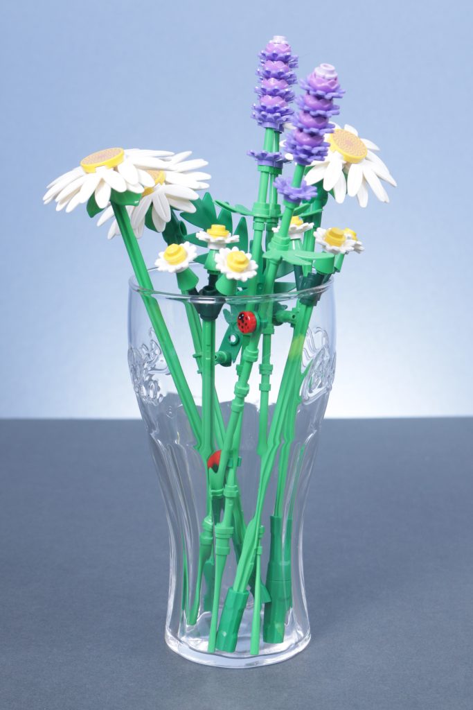 LEGO Botanicals 11501 Tulip Bouquet 11509 Flowering Cactus 11508 Daisies 11504 Peace Lily review 1 683x1024