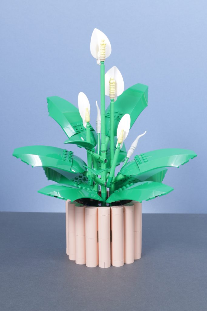LEGO Botanicals 11501 Tulip Bouquet 11509 Flowering Cactus 11508 Daisies 11504 Peace Lily review 15 683x1024