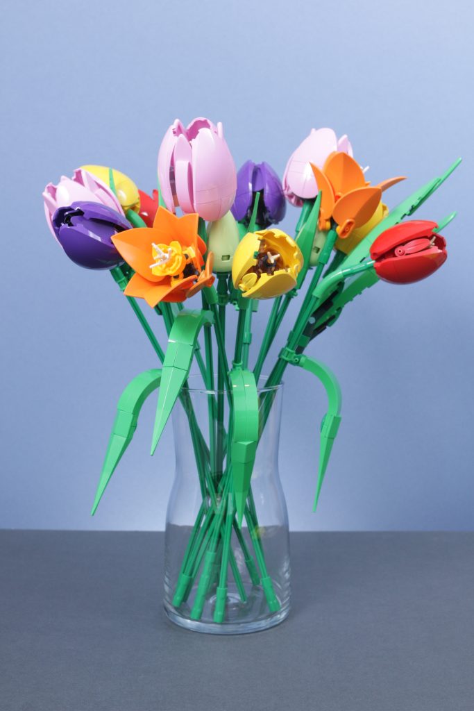 LEGO Botanicals 11501 Tulip Bouquet 11509 Flowering Cactus 11508 Daisies 11504 Peace Lily review 23 683x1024