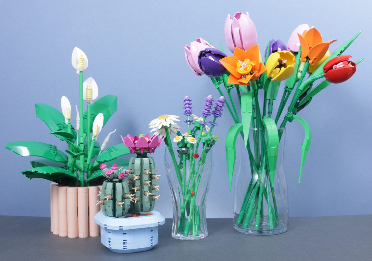 LEGO Botanicals 11501 Tulip Bouquet 11509 Flowering Cactus 11508 Daisies 11504 Peace Lily review 37 1200x843