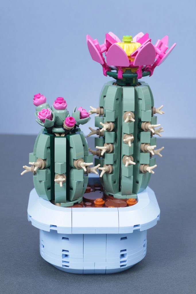 LEGO Botanicals 11501 Tulip Bouquet 11509 Flowering Cactus 11508 Daisies 11504 Peace Lily review 8 683x1024