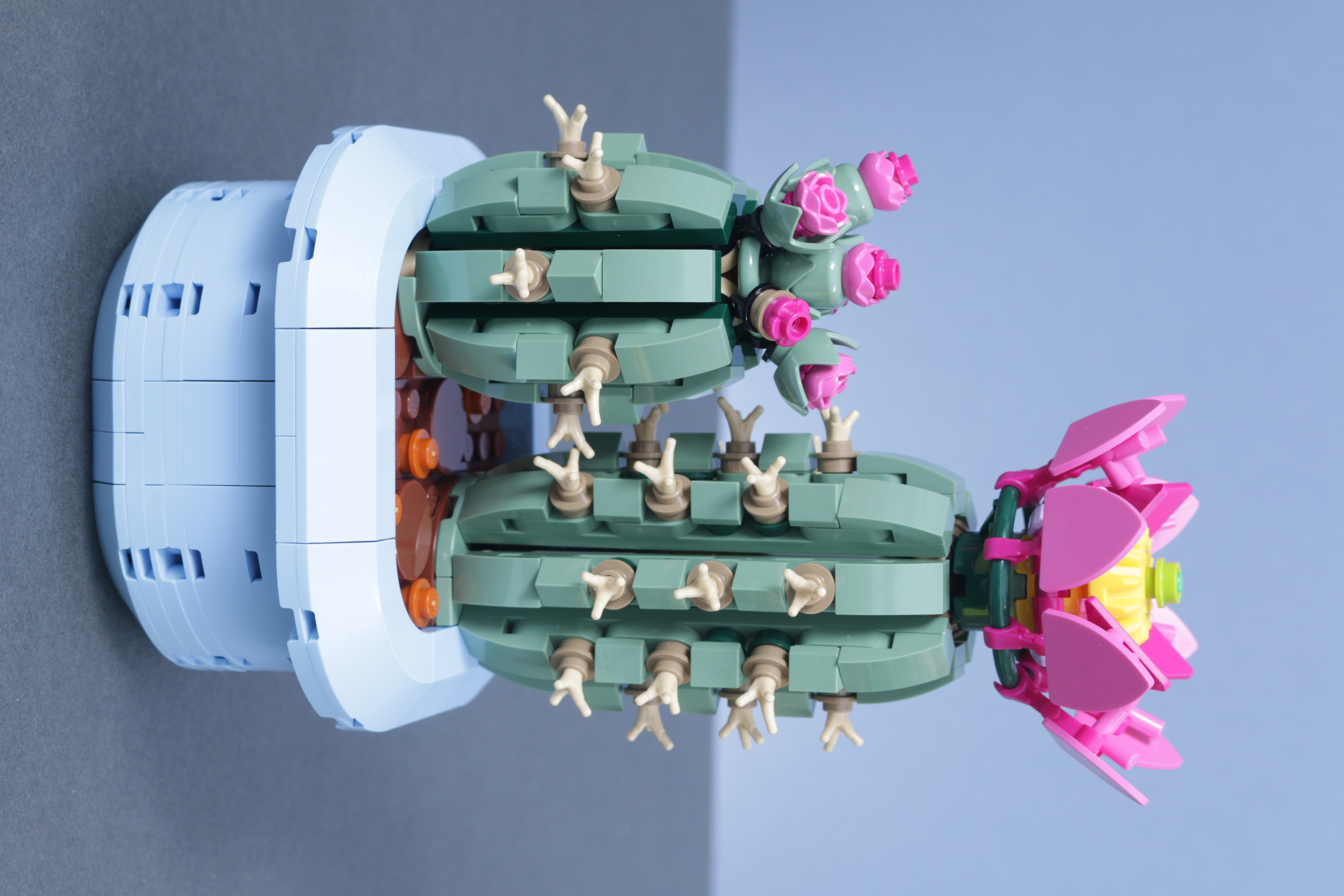 LEGO Botanicals 11501 Tulip Bouquet 11509 Flowering Cactus 11508 Daisies 11504 Peace Lily review 8