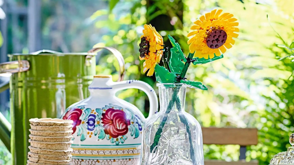 LEGO Botanicals 2026: new box art for older sets revealed