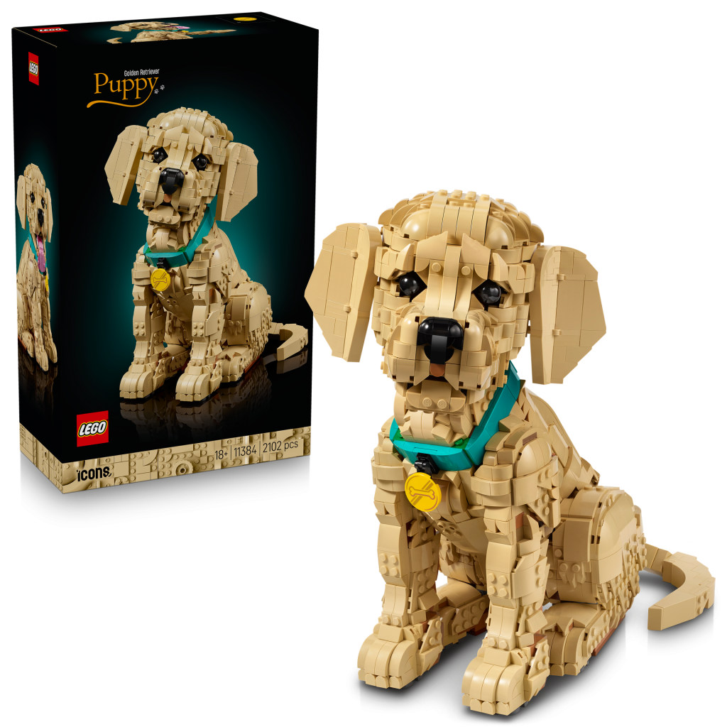 LEGO Icons 11384 Golden Retriever Welpe 4 1024x1024