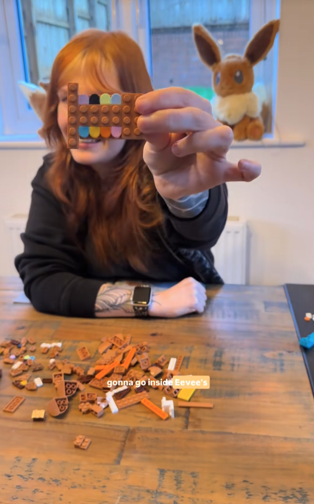 TIKTOK LEGO Pokémon 72151 Evoli zum Anfassen 1 639x1024