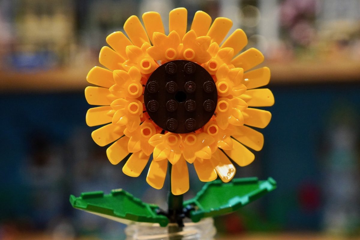 LEGO Botanicals 11502 Sonnenblumenstrauß 40524 Sonnenblumen-Rezension 3 1200x800