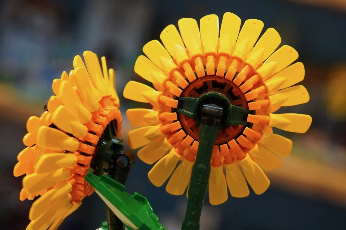 LEGO Botanicals 11502 Sonnenblumenstrauß 40524 Sonnenblumen-Rezension 5 1200x800