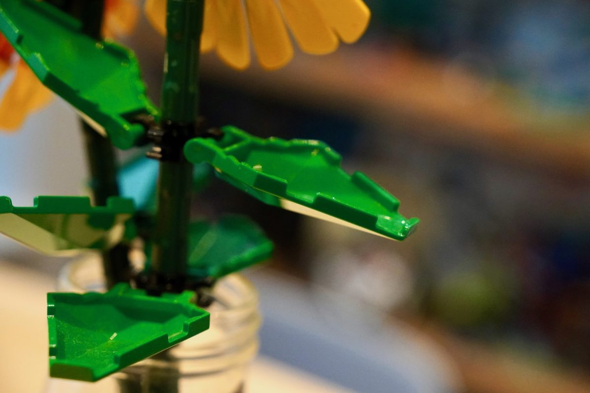 LEGO Botanicals 11502 Sonnenblumenstrauß 40524 Sonnenblumen-Rezension 6 1200x800