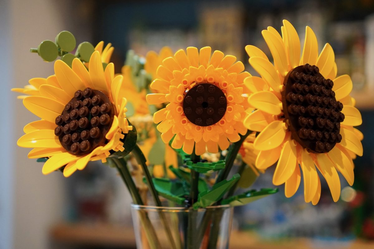 LEGO Botanicals 11502 Sonnenblumenstrauß 40524 Sonnenblumen-Rezension 8 1200x800