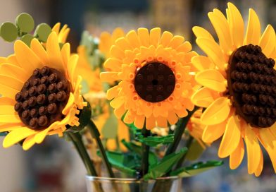 LEGO Botanicals não é mais o que era. LEGO Botanicals não é mais o que era.