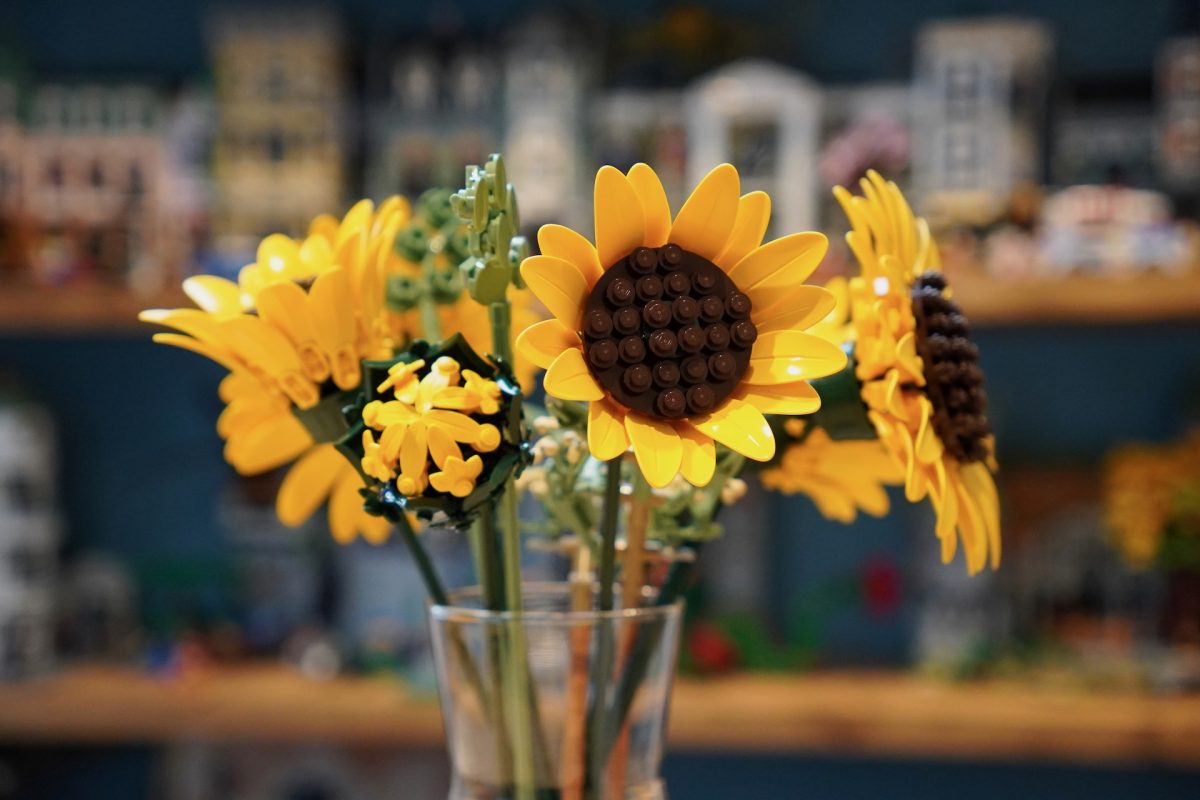LEGO Botanicals 11502 Sonnenblumenstrauß – Rezension 1 (1200x800)