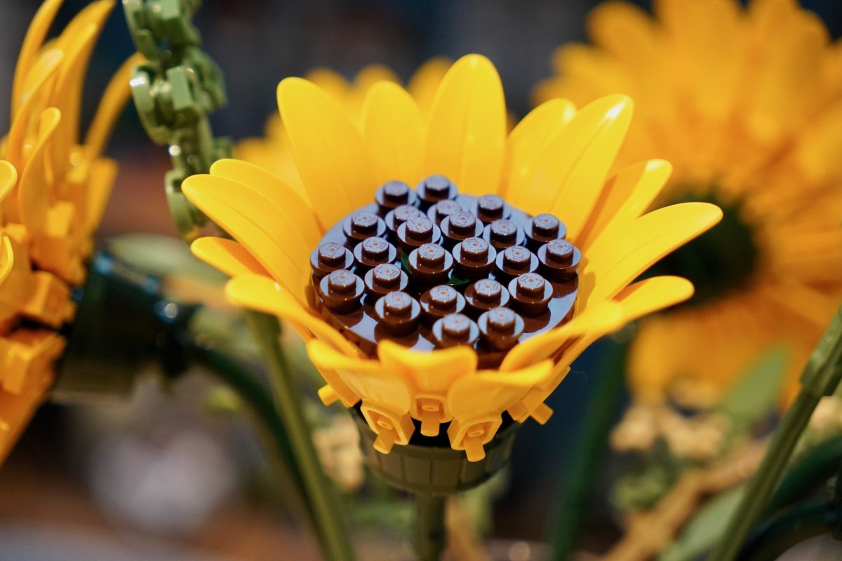 LEGO Botanicals 11502 Sonnenblumenstrauß – Rezension 12 (1200x800)
