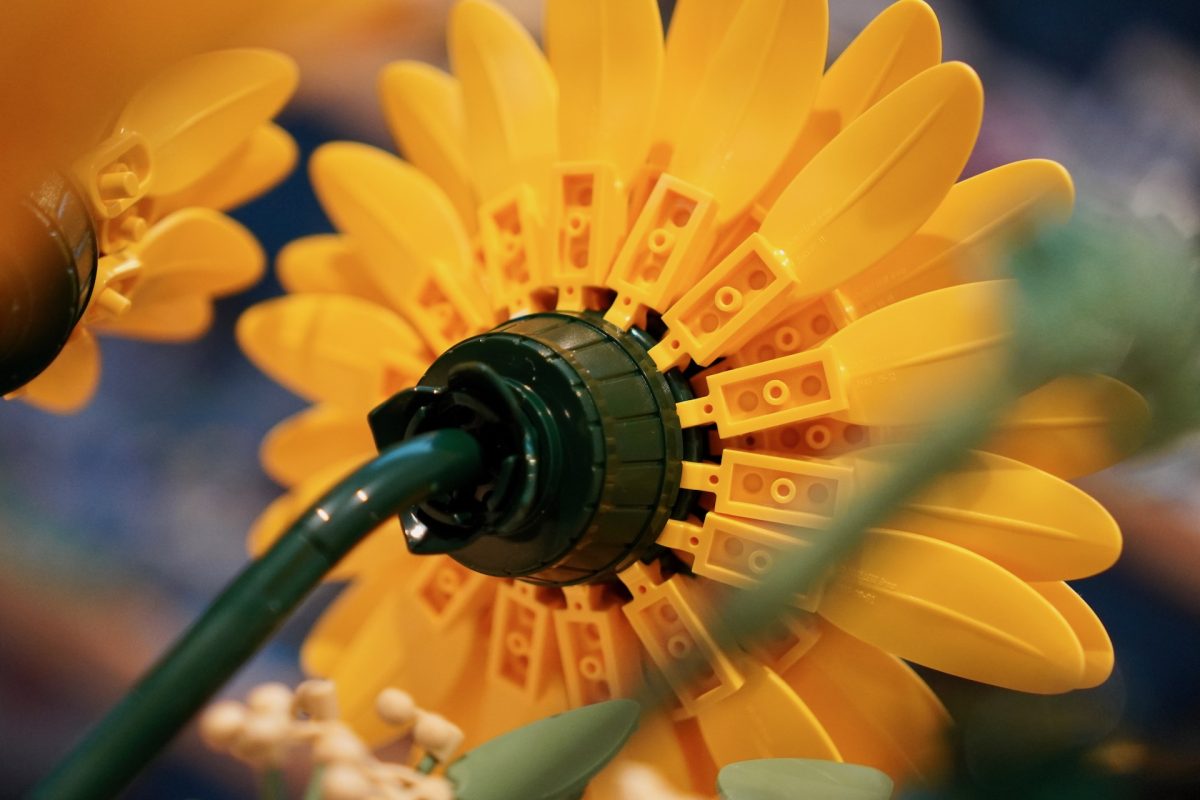 LEGO Botanicals 11502 Sonnenblumenstrauß – Rezension 13 (1200x800)