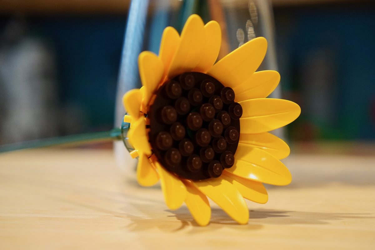 LEGO Botanicals 11502 Sonnenblumenstrauß – Rezension 14 (1200x800)