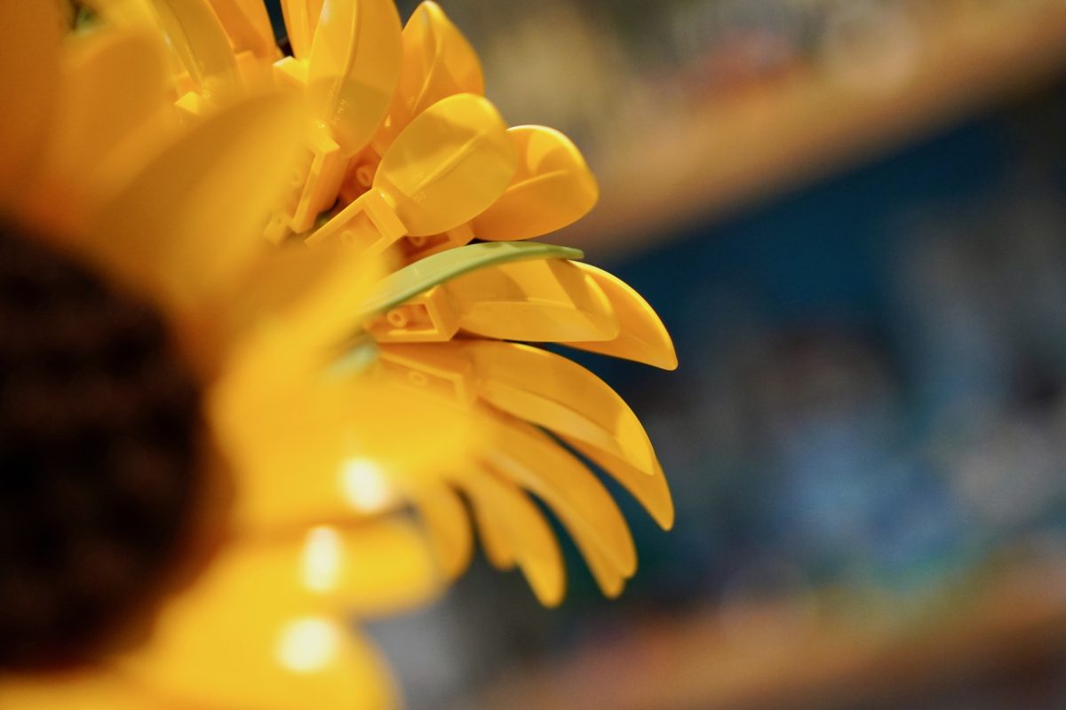 LEGO Botanicals 11502 Sonnenblumenstrauß – Rezension 15 (1200x800)