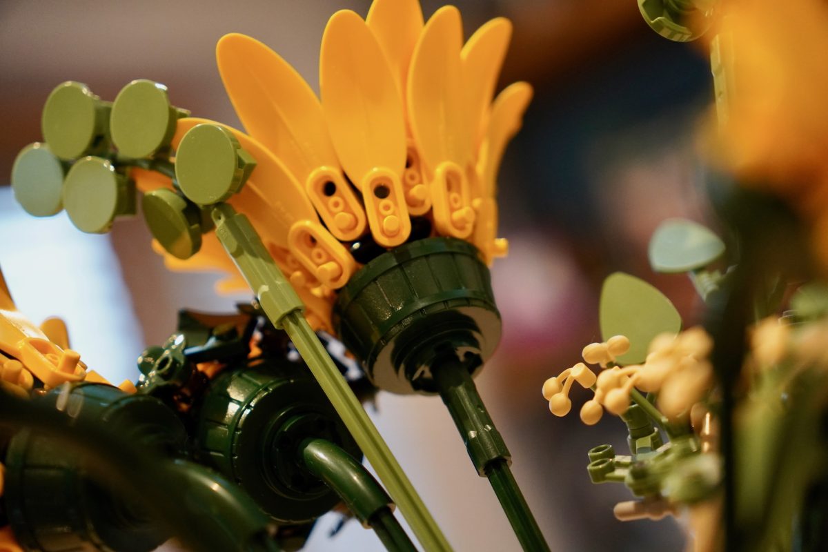 LEGO Botanicals 11502 Sonnenblumenstrauß – Rezension 16 (1200x800)
