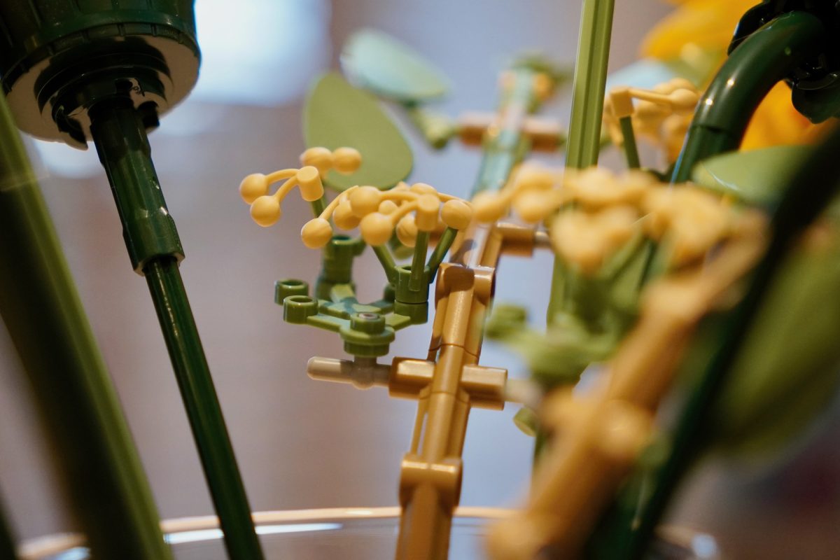 LEGO Botanicals 11502 Sonnenblumenstrauß – Rezension 17 (1200x800)