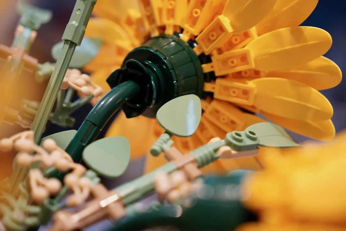 LEGO Botanicals 11502 Sonnenblumenstrauß – Rezension 18 (1200x800)