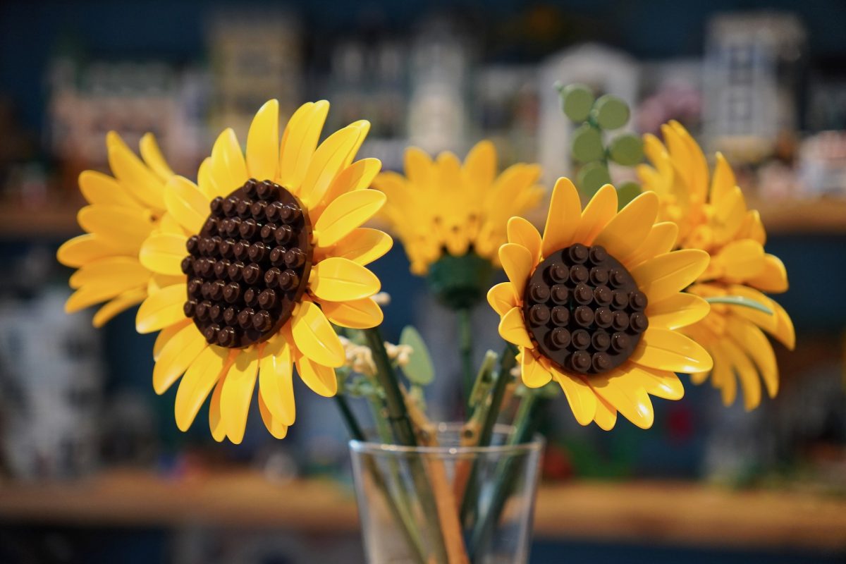LEGO Botanicals 11502 Sonnenblumenstrauß – Rezension 3 (1200x800)