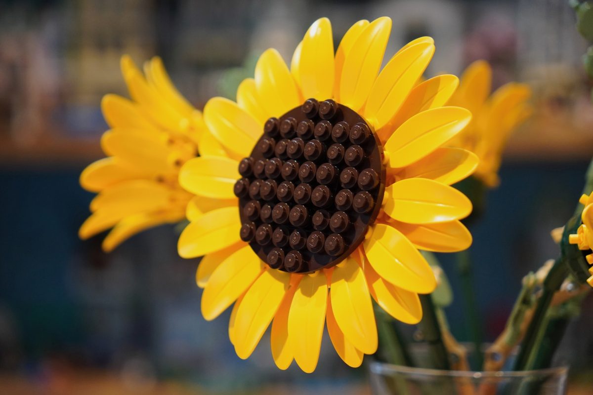 LEGO Botanicals 11502 Sonnenblumenstrauß – Rezension 4 (1200x800)