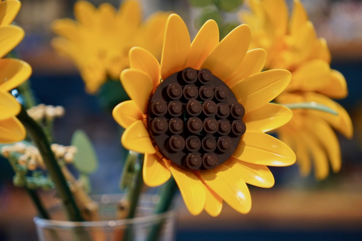 LEGO Botanicals 11502 Sonnenblumenstrauß – Rezension 5 (1200x800)