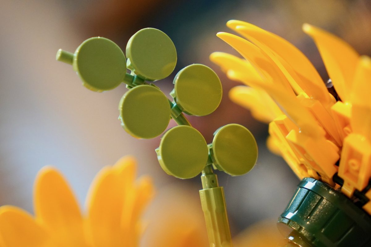 LEGO Botanicals 11502 Sonnenblumenstrauß – Rezension 6 (1200x800)