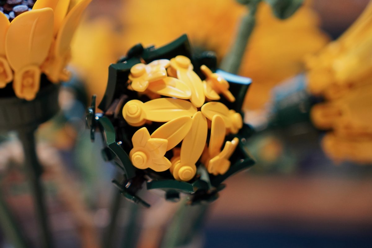 LEGO Botanicals 11502 Sonnenblumenstrauß – Rezension 9 (1200x800)