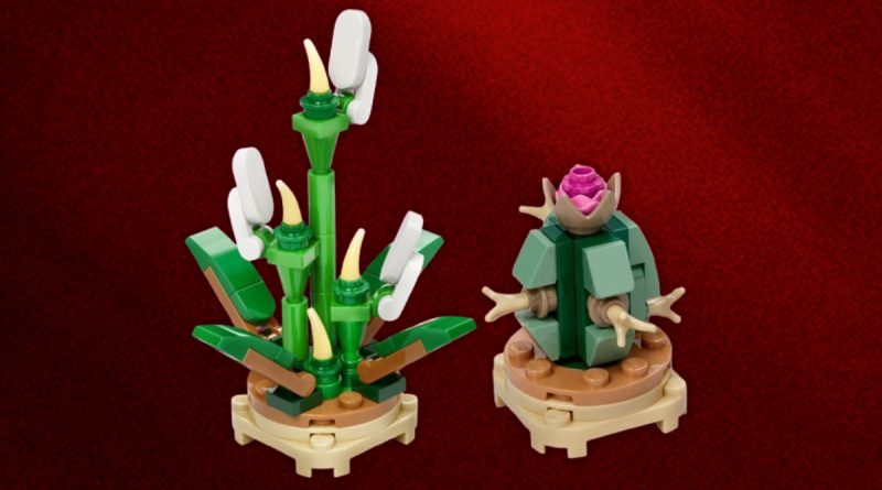 Free LEGO Botanicals Valentine’s Day make and take announced