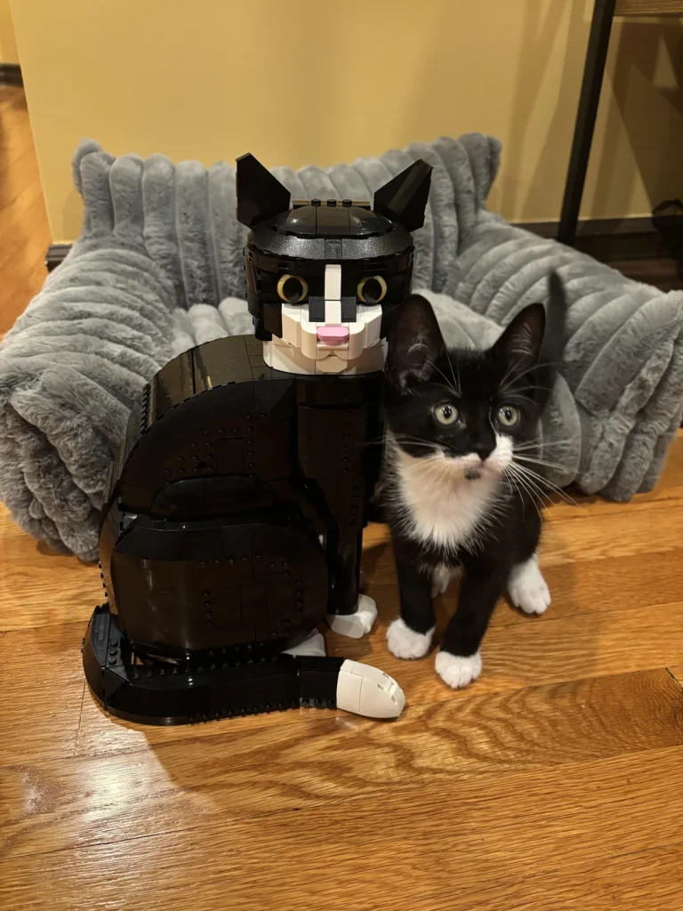 Lego 21349 Kätzchen Amacscama 768x1024