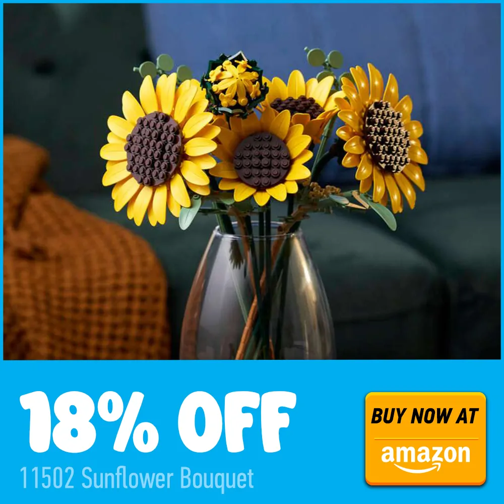 Cartão promocional Amazon 11502