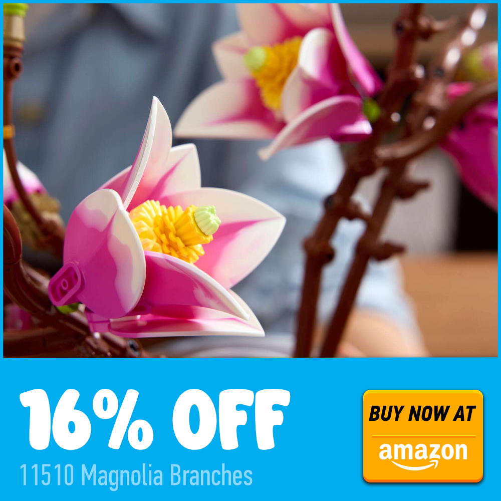 Cartão promocional Amazon 11510