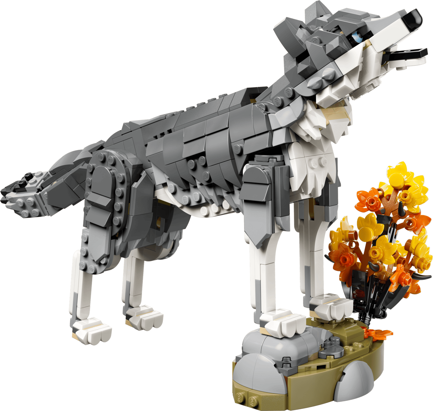 31393_Prod